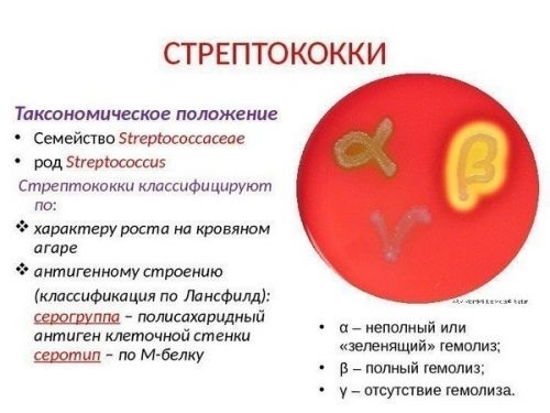 Хронический гломерулонефрит с нефротическим синдромом прогноз