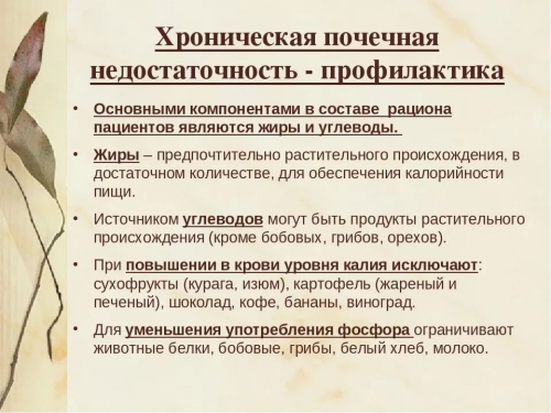 Хронический гломерулонефрит с нефротическим синдромом прогноз