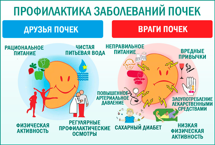 Болезнь почек: профилактика 