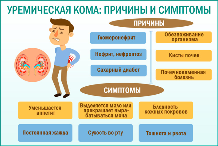 Причины и симптомы уремической комы