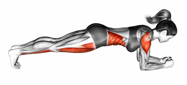 болит спина от упражнения планка