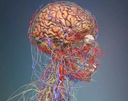 Болит сильно голова беременность