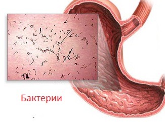 Если рвет голова болит желудок болит