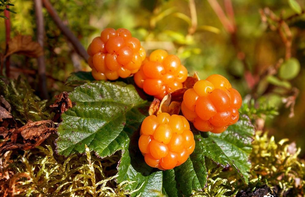 Онемела рука болит голова