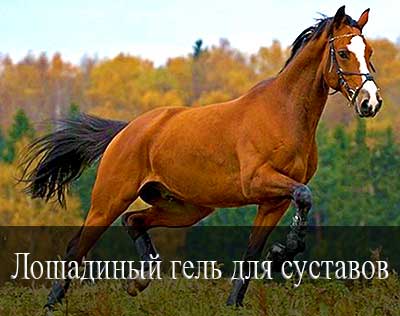 Лошадиный гель для суставов Лошадиная мазь от болей в спине