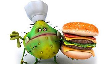 Если рвет голова болит желудок болит