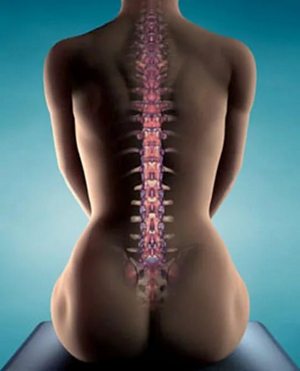 Делал зарядку болит спина