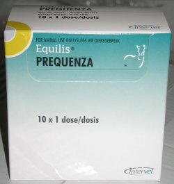 Когда сижу болит спина снизу