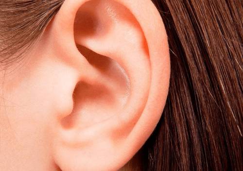 Часто болят уши и голова