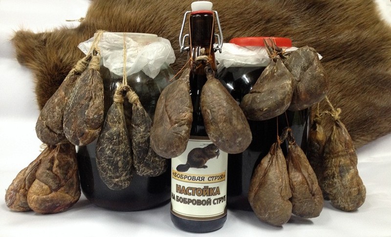 Бобровая струя при остеохондрозе