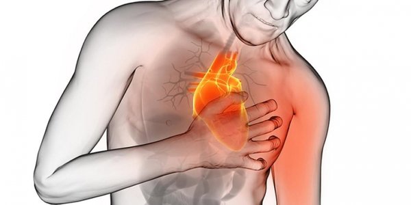 После физической нагрузки болит спина под лопатками