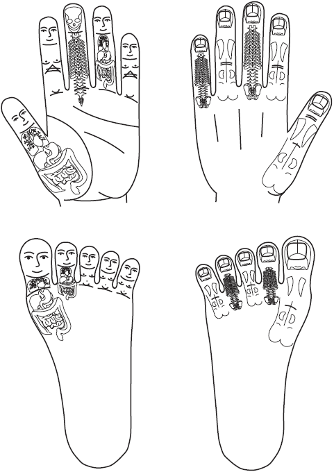 Су джок болит голова