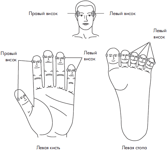 Су джок болит голова