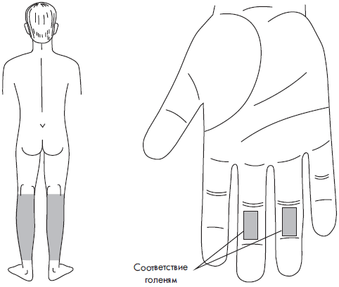 Су джок болит голова