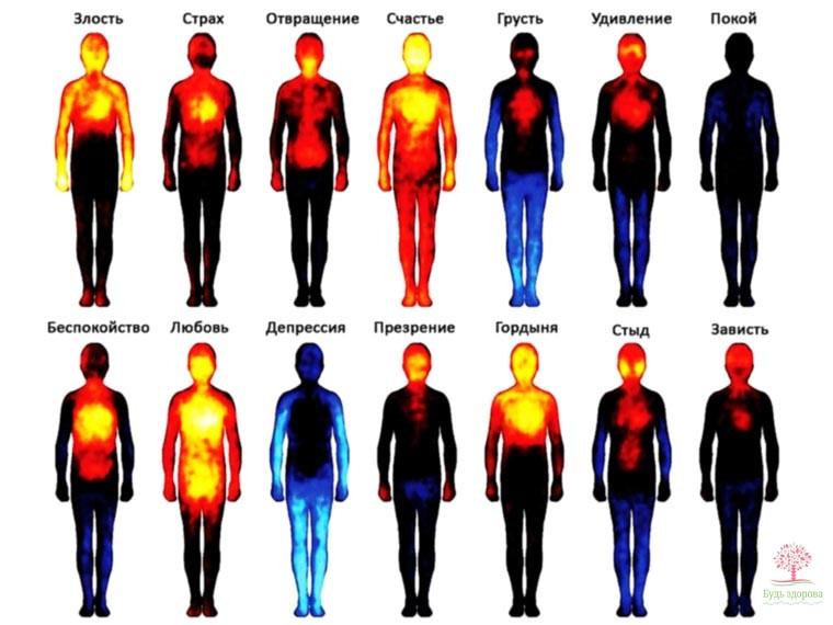 Наши эмоции