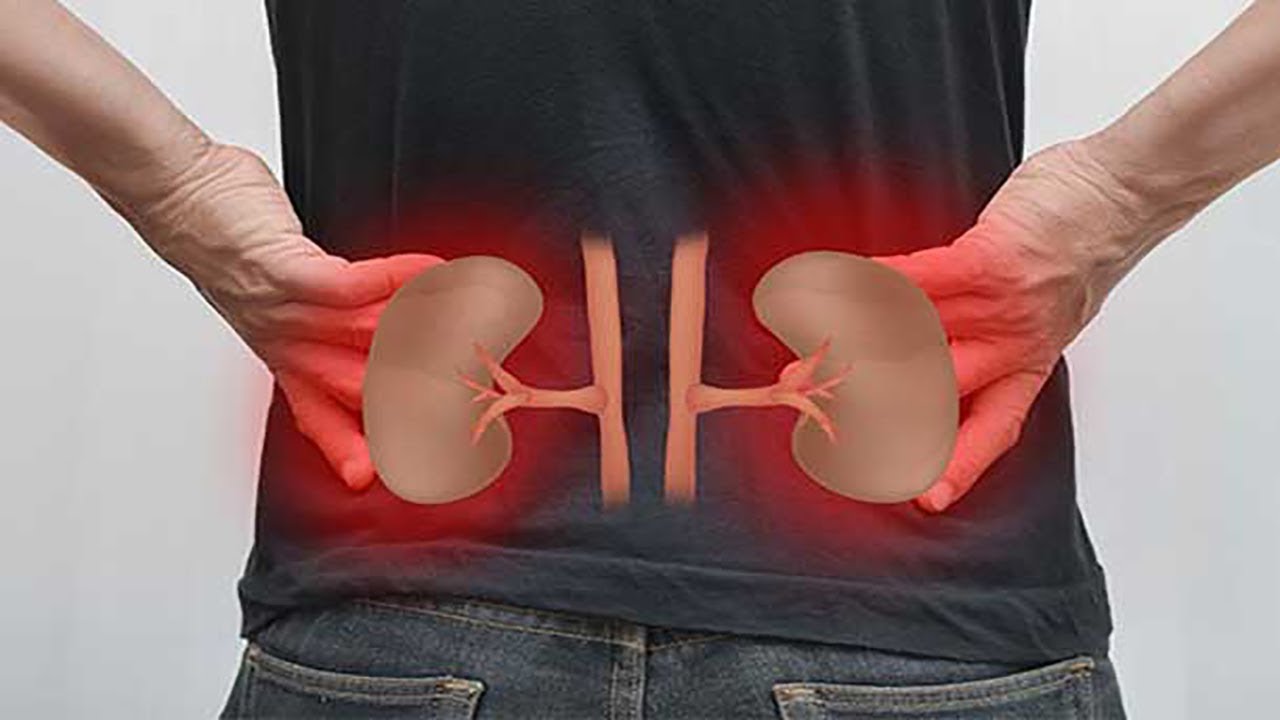 Болезненные ощущения в пояснице при ходьбе могут возникать из-за воспаления почек