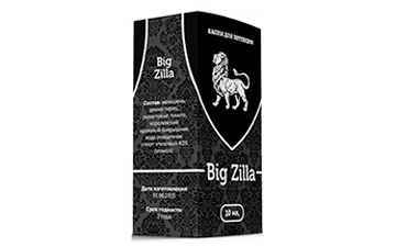 Big Zilla Big Zilla