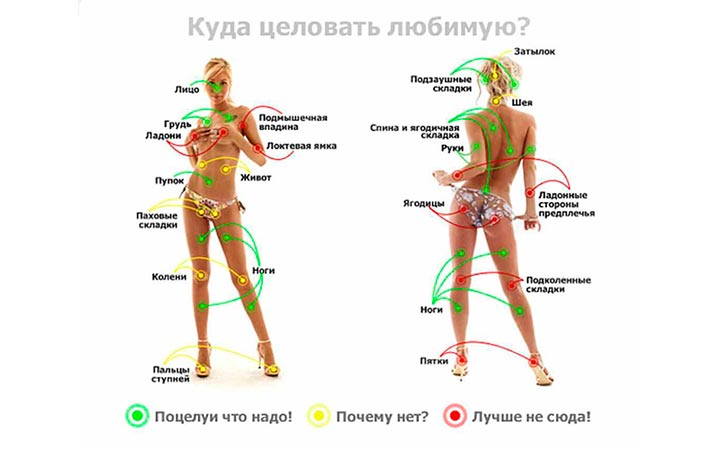 Эрогенные зоны на теле девушки Эрогенные зоны на теле девушки