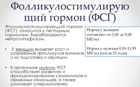 Фолликулостимулирующий гормон Фолликулостимулирующий гормон