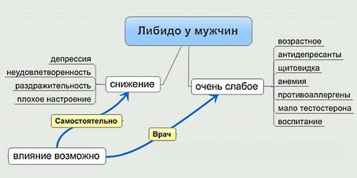 Причины снижения мужского либидо Причины снижения мужского либидо