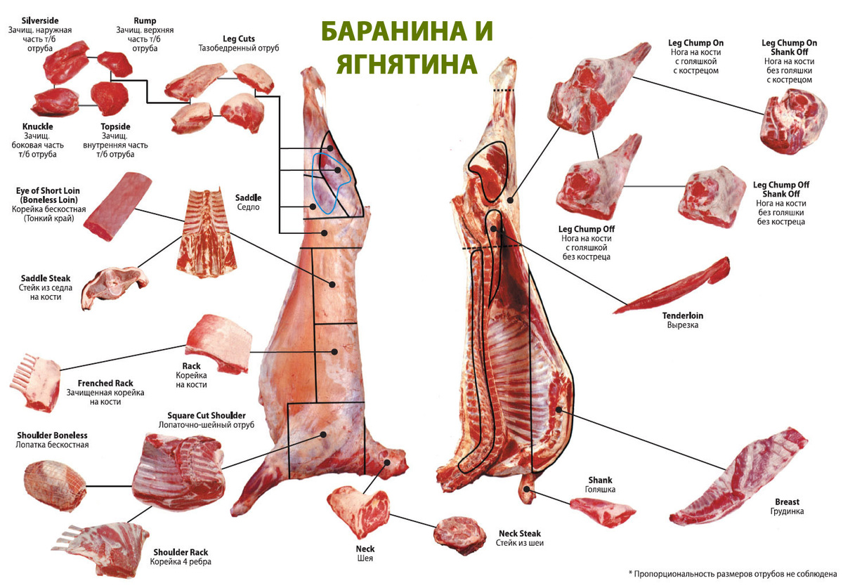 Польза и вред баранины Как выбрать баранину
