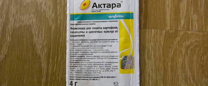 Как лечить баклажаны Обработка баклажанов