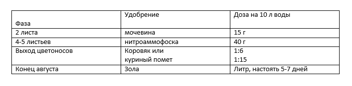 Гладиолусы выращивание Детка гладиолуса