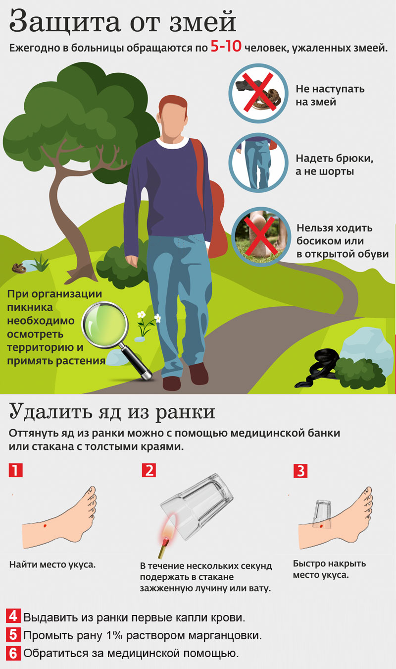 Медицинская помощь при укусе змеи ООказание первой помощи при укусе змеи