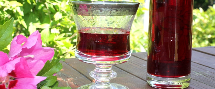 Домашнее вино из ирги сделать вкусное вино из ирги